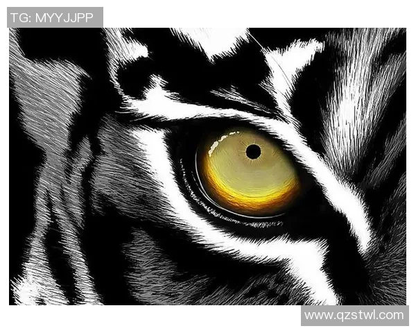 狼队与贝西克塔激战正酣谁将赢得这场精彩对决的胜利 狼队与贝西克塔激战正酣谁将赢得这场精彩对决的胜利