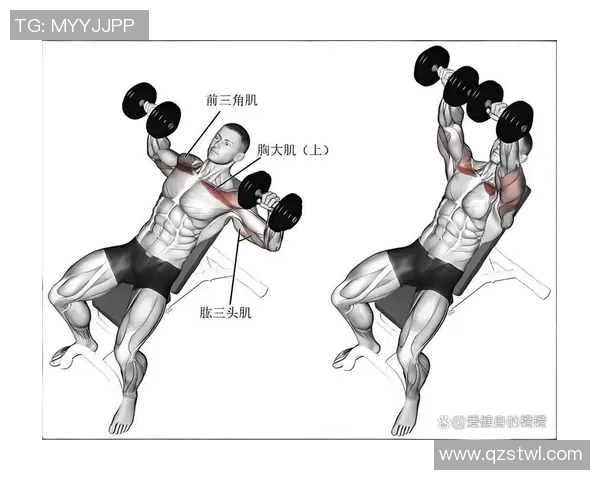 哑铃锻炼全身肌肉的最佳选择及其针对性训练效果分析